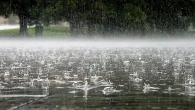 Zakon.kz, фото - Новости Zakon.kz от 27.06.2017 12:00