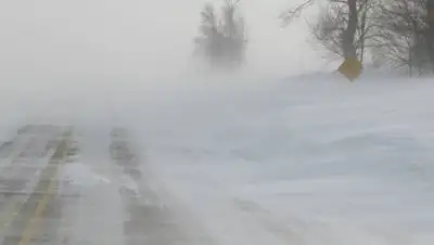 pixabay.com, фото - Новости Zakon.kz от 15.01.2021 17:17