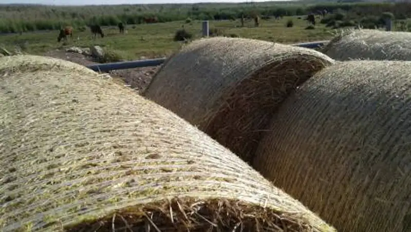 Мангистауские фермеры начали получать государственную поддержку