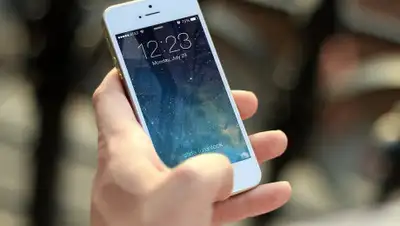 Pixabay, фото - Новости Zakon.kz от 03.09.2020 19:14