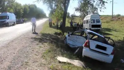 Zakon.kz, фото - Новости Zakon.kz от 29.06.2016 23:47