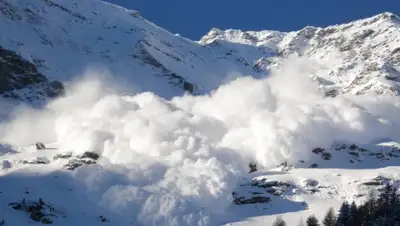 MPort, фото - Новости Zakon.kz от 03.04.2019 17:01