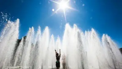 Zakon.kz, фото - Новости Zakon.kz от 17.06.2017 12:00