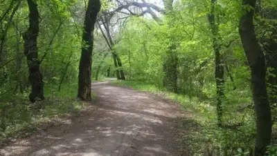 bnews.kz, фото - Новости Zakon.kz от 06.04.2018 15:01