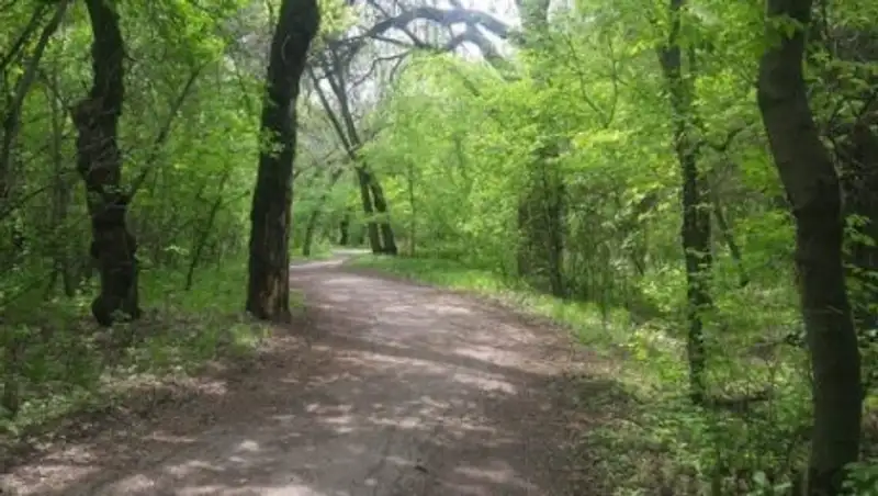 Рощу Баума в Алматы благоустроят