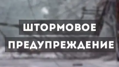 24.kz, фото - Новости Zakon.kz от 01.07.2020 17:52