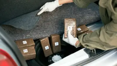 Zakon.kz, фото - Новости Zakon.kz от 31.10.2014 23:12