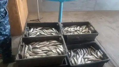 polisia.kz, фото - Новости Zakon.kz от 07.09.2021 08:59