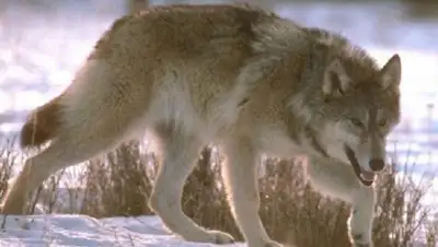 Zakon.kz, фото - Новости Zakon.kz от 27.01.2016 20:42