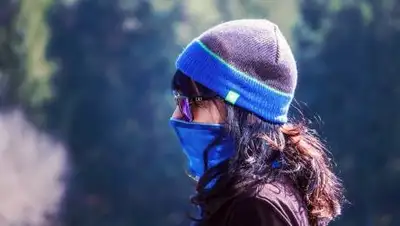 Pixabay, фото - Новости Zakon.kz от 13.11.2020 14:33