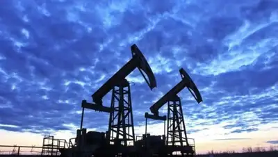 elliotwave.org, фото - Новости Zakon.kz от 17.02.2018 06:46