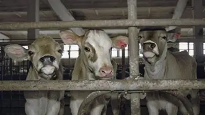 Zakon.kz, фото - Новости Zakon.kz от 19.06.2014 20:55