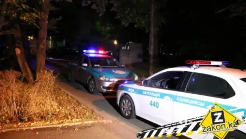 Мужчину, найденного расчлененным в мусорном баке, убили из-за игровой приставки