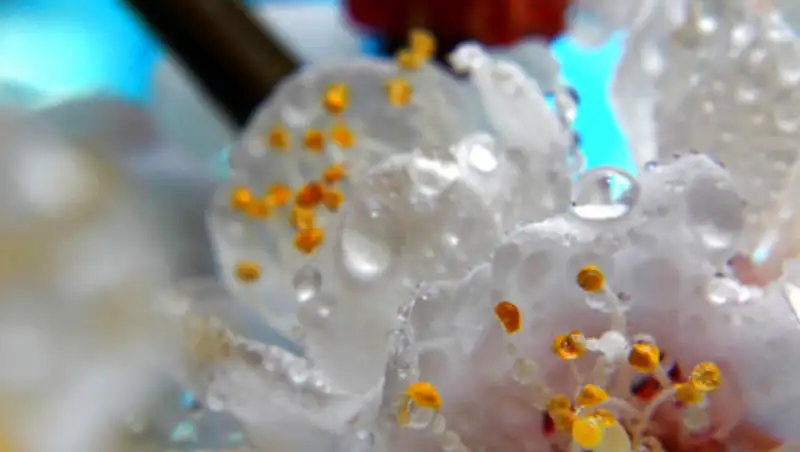 В некоторых регионах Казахстана возможны осадки в четверг