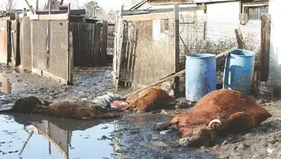 Zakon.kz, фото - Новости Zakon.kz от 02.07.2015 21:55