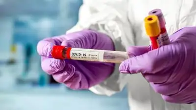 zakon.kz., фото - Новости Zakon.kz от 15.10.2020 08:15