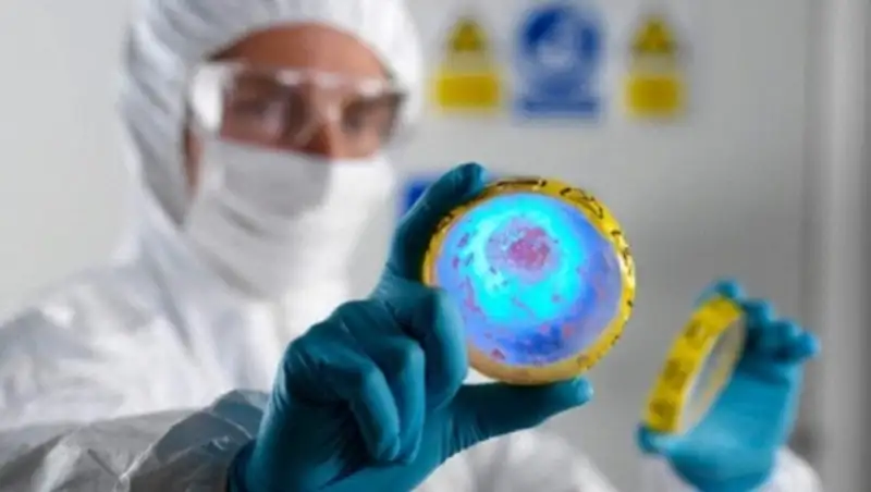 В Нью-Йорке 12 человек умерли от легионеллеза