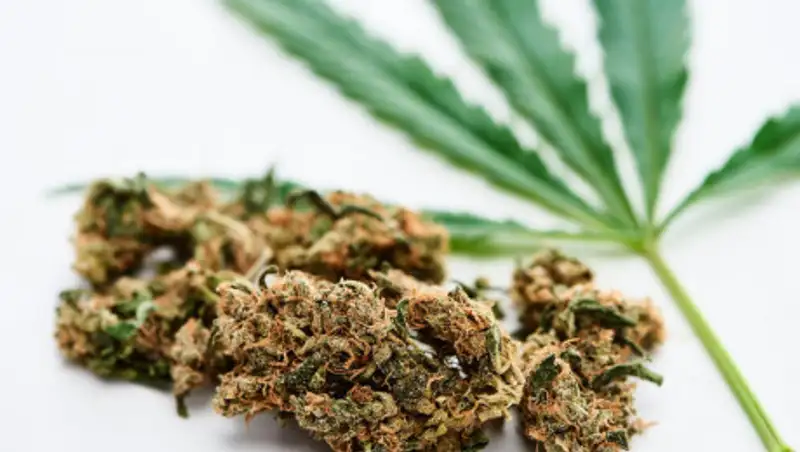 Казахстанца осудили за попытку ввоза наркотиков в Россию