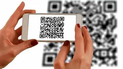 profit.kz, фото - Новости Zakon.kz от 07.10.2020 11:51