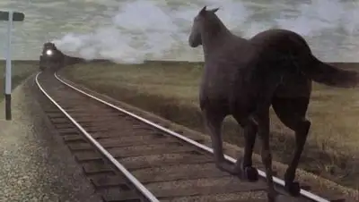 m2ch.hk, фото - Новости Zakon.kz от 13.11.2020 18:38