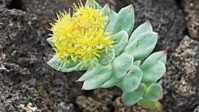 Zakon.kz, фото - Новости Zakon.kz от 30.09.2016 23:44