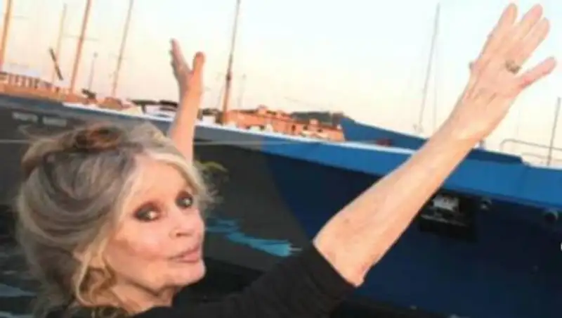 Брижит Бардо обвинили в расизме и оштрафовали