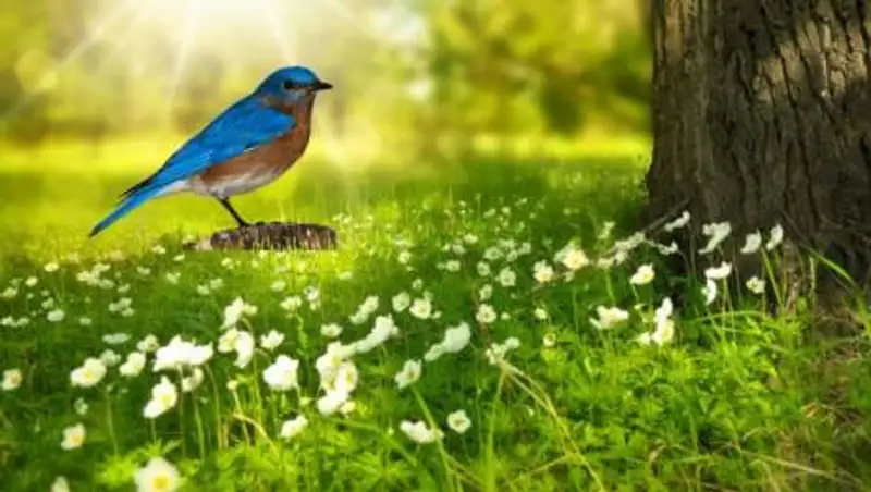 Какая погода ожидает казахстанцев 24 августа