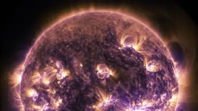 pexels.com, фото - Новости Zakon.kz от 04.08.2021 10:56