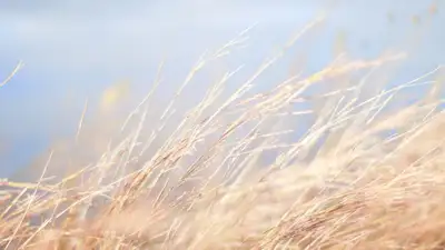 Порывистый ветер, дожди, грозы: прогноз погоды в Казахстане на 28 сентября , фото - Новости Zakon.kz от 27.09.2023 16:45