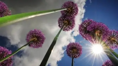 Zakon.kz, фото - Новости Zakon.kz от 21.06.2015 13:38