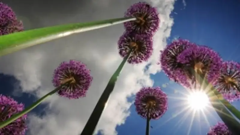 Сегодня в большинстве областей Казахстана ожидается погода без осадков 