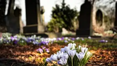 pixabay.com, фото - Новости Zakon.kz от 23.09.2021 20:12