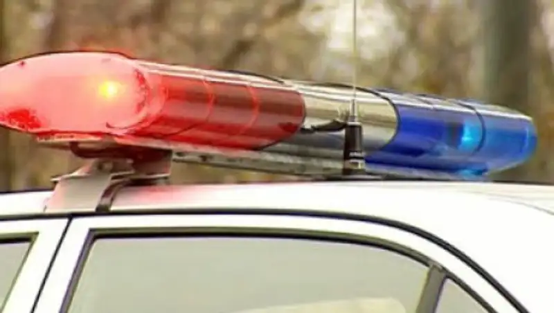 Ряд необходимых мер по противодействию кражам озвучили в ДВД Алматинской области