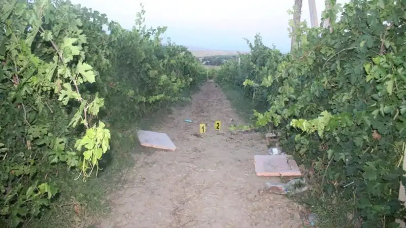 Подросток погиб во время отстрела птиц в Туркестанской области