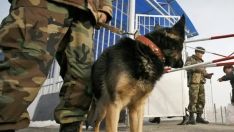 На погранпостах Жамбылской области усилена охрана