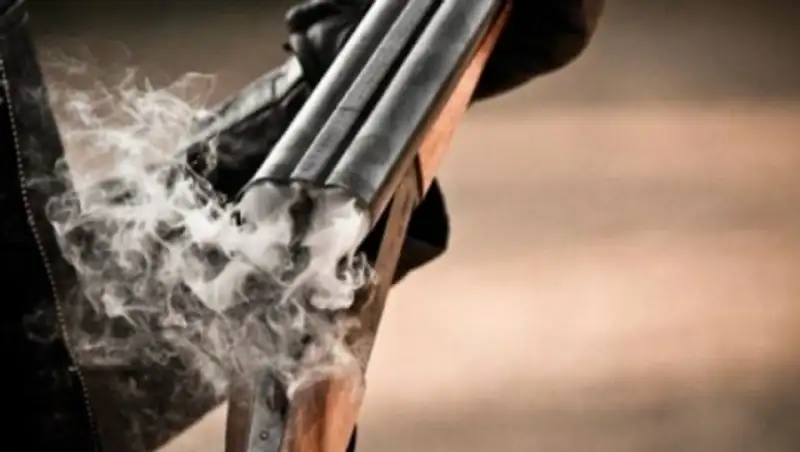 Житель Аркалыка застрелил своего криминального покровителя и зарезал его жену