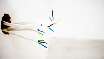 pixabay, фото - Новости Zakon.kz от 12.02.2019 06:38