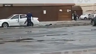 кадр из видео, фото - Новости Zakon.kz от 19.04.2019 06:00