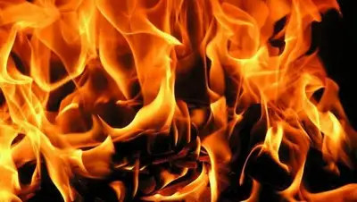 из открытых источников, фото - Новости Zakon.kz от 14.07.2018 14:04