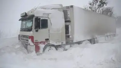 Рамблер/новости, фото - Новости Zakon.kz от 09.03.2018 16:55