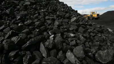 comments.ua, фото - Новости Zakon.kz от 21.11.2019 10:23