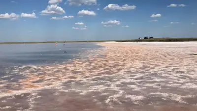 zakon.kz, фото - Новости Zakon.kz от 20.07.2020 20:26