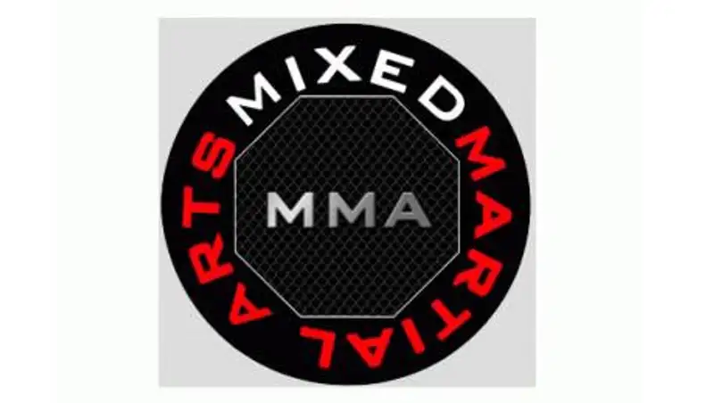 Сборная Казахстана по ММА заняла второе место в командном зачете Кубка мира, фото - Новости Zakon.kz от 16.12.2013 19:43