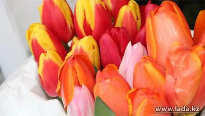 В Актау пройдет праздничная ярмарка, посвященная 8 марта