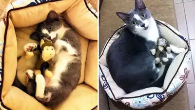 Zakon.kz, фото - Новости Zakon.kz от 10.09.2017 12:59