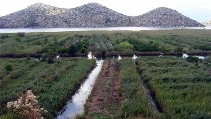 В Павлодарской области развивают орошаемое земледелие