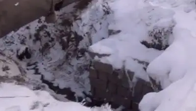 inform.kz , фото - Новости Zakon.kz от 16.03.2018 08:53