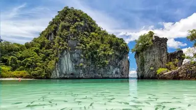 vivatur.com.ua, фото - Новости Zakon.kz от 09.01.2019 21:56