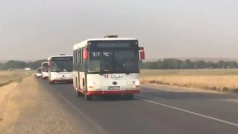 Автоколонну с арысцами сняли на видео