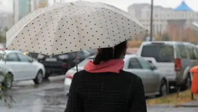 Zakon.kz, фото - Новости Zakon.kz от 07.09.2016 12:00